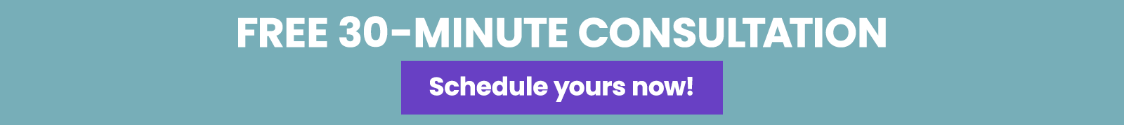 Free 30-minute consultation