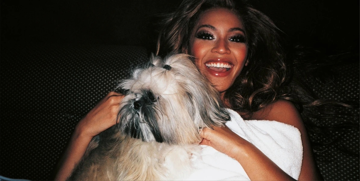 How Your Dog Knows They Matter