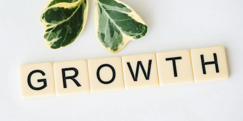Your Growth Plan